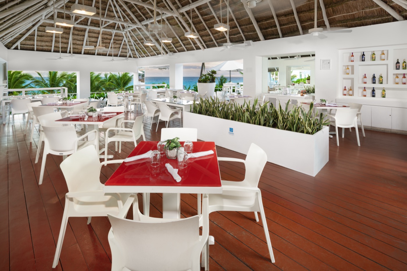 Vista interior del Bar Coyote Loco en Hotel Grand Oasis Cancun